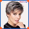 2025 European Fashion Short Straight Wig For Women HW955