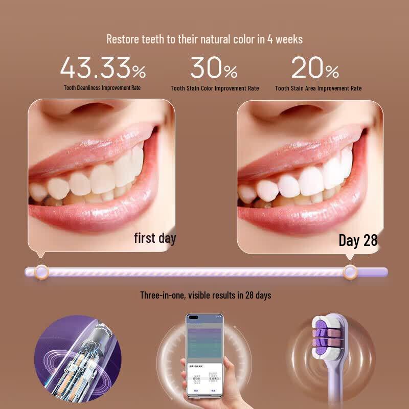 Lebooo Starlight Pro Sonic Electric Toothbrush CN plug (adapter included)