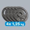 Cast Iron Weight Set 4X1.25Kg 6Kg Hole 31Mm Plate With Handles Rebel