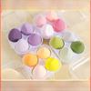 Beauty Egg Makeup Sponge Set: Elastic Air Cushion, Powder Puff Tool