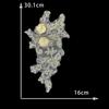 Золотисто-желтый I Водорастворимая вышивка Трехмерное кружево Бисер Клейкий цветок DIY Швейное украшение С кружевом для аксессуаров для одежды