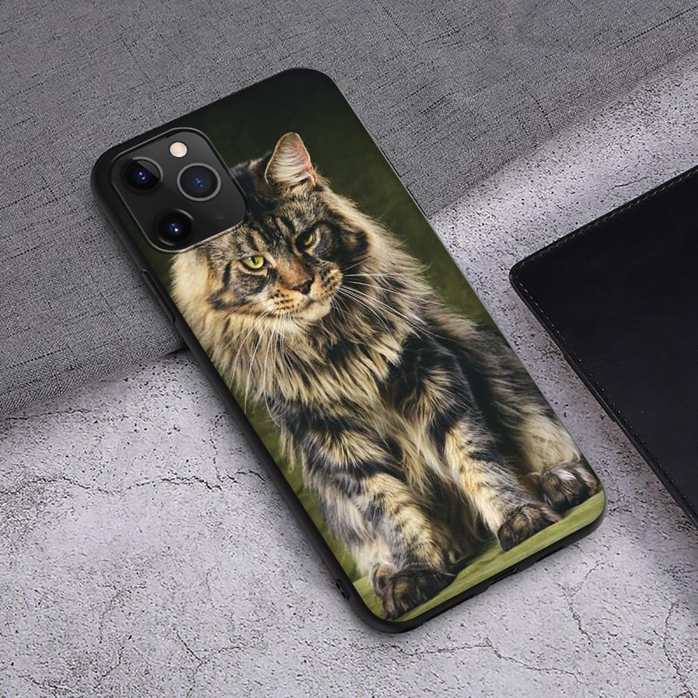 Чехол T145 с изображением кота мейн-куна для iPhone 13 12 Mini 11 Pro XS Max XR X 8 7 6 6S Plus 5 5S SE 2020