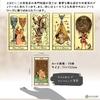 The Medieval Scapini Tarot Reading Japanese Instruction Manual Authentic 78 Cards Tarot, Instructions, Included, Tarot,