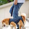 Adjustable Dog Lift Harness Comfortable Dog Lift Belt Breathable Support Sling for Old Disabled Joint Injuries Arthritis Dog Walk