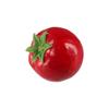Lifelike Simulation Tomato Cute Fake Vegetables  Fruit Prop Teaching
