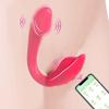 Realistic Vibrating Dildo with 9 Vibrating Modes Sex Toy,Wearable Panty Vibrators Adult Toys Games for Women Couples APP Adult Sex Toys Dildos