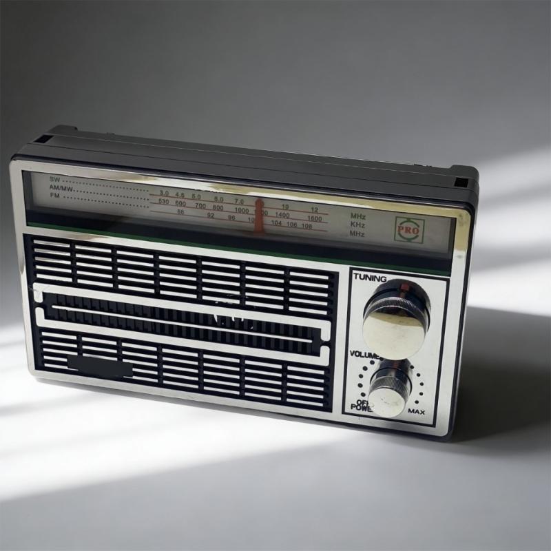 Ретро Радиоприемник AM FM SW Специально для Пожилых Людей Простое Управление Громкий Динамик и Питание от Батарей или Сети 230В