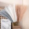 Свадебные искусственные цветы Мини Пампасы Тростник Домашний декор Ins Wind Creative