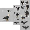 Lifelike Pvc Animal Figurines Including Stunning White Head Eagle And Detailed Owl Designs