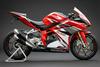 Комплект для удаления заднего крыла PinkFactory для CBR250RR 2017-2025 (MC51/2BK-MC51/8BK-MC51) Модель от производителя