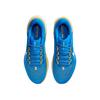 Nike Кроссовки Air Zoom Pegasus 41 UCLA мужские синие сигнально-синие белые FZ5148-400