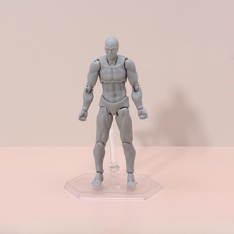 Инструмент для рисования тела Figma Мужской Женский Подвижная фигурка ПВХ Модель для художников и коллекционеров