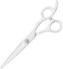 DEEDS GTZ White Scissors Thinning Scissors Thinning for Hairdressers and Includes Set of 2 [PF] (6.0 Inches) (approximately 10-15% Rate) Barbers,