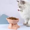 Профессиональная миска для кошек с высокой ножкой, миска для собак, защита шеи, миски для корма для кошек, миски для воды, препятствующие опрокидыванию, кормушка для домашних животных, принадлежности для кормления домашних животных