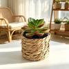 Scene Layout Model Simulation Grass Potted Green Fake Potted Plants  Home Decoration