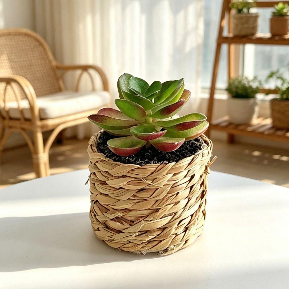 Scene Layout Model Simulation Grass Potted Green Fake Potted Plants Home Decoration