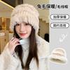 Winter Rabbit Fur Hat Female Face Small Versatile Hairy Bucket Hat Plush Knitted Wool Hat