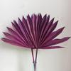 Dried Flower Bouquet Material New Version Guanyin Fan Flower Arrangement Decoration Rural Home Palm Dried Flower Material