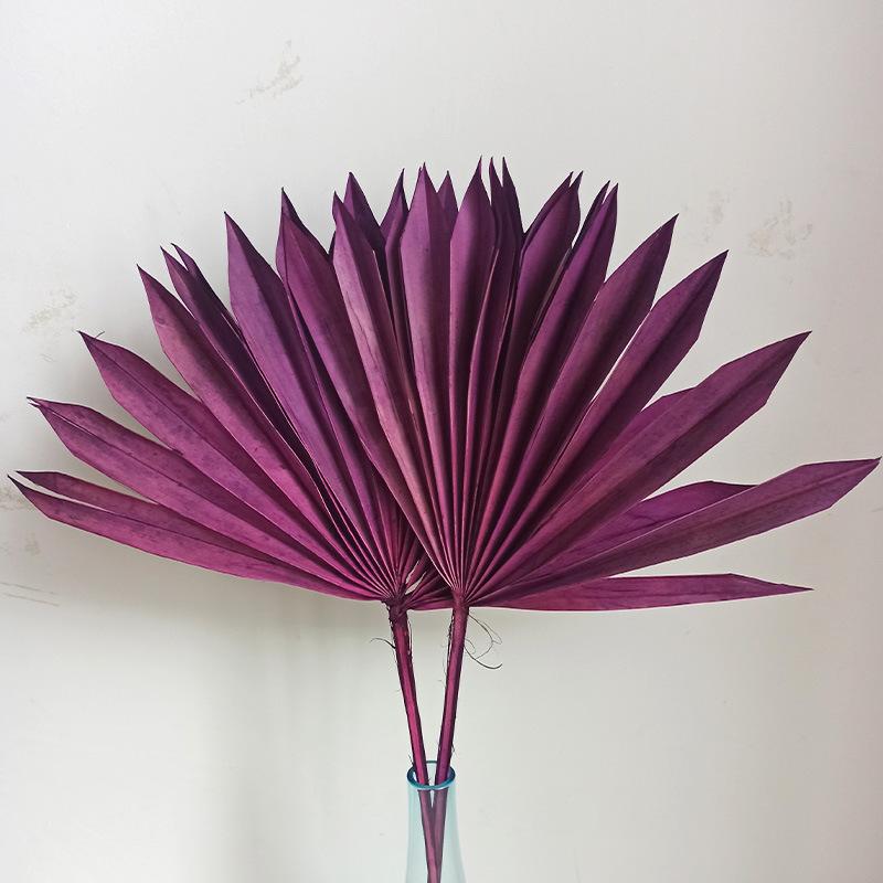 Dried Flower Bouquet Material New Version Guanyin Fan Flower Arrangement Decoration Rural Home Palm Dried Flower Material