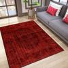 Washable Printed Carpet RVGHOME0189-SD596