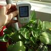 LCD Screen PH/Moisture/Temperature Meter 3 in 1 Soil  Humidity Detector Soil Tester  Flower Plants