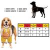 Basketball Player Pet Costume Dog Holding Basketball Clothing With Ball Breathable Halloween Cosplay Sports Clothes Medium Dog