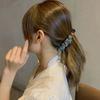 Fabric Crinkled Banana Clip Korean Style Hair Wear New Vertical Clip  Daily