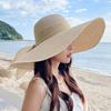 Women's Summer Sun Protection Straw Hat Extra Large Brim Sunshade Hat Beach Seaside Vacation Sun Hat Foldable Hat