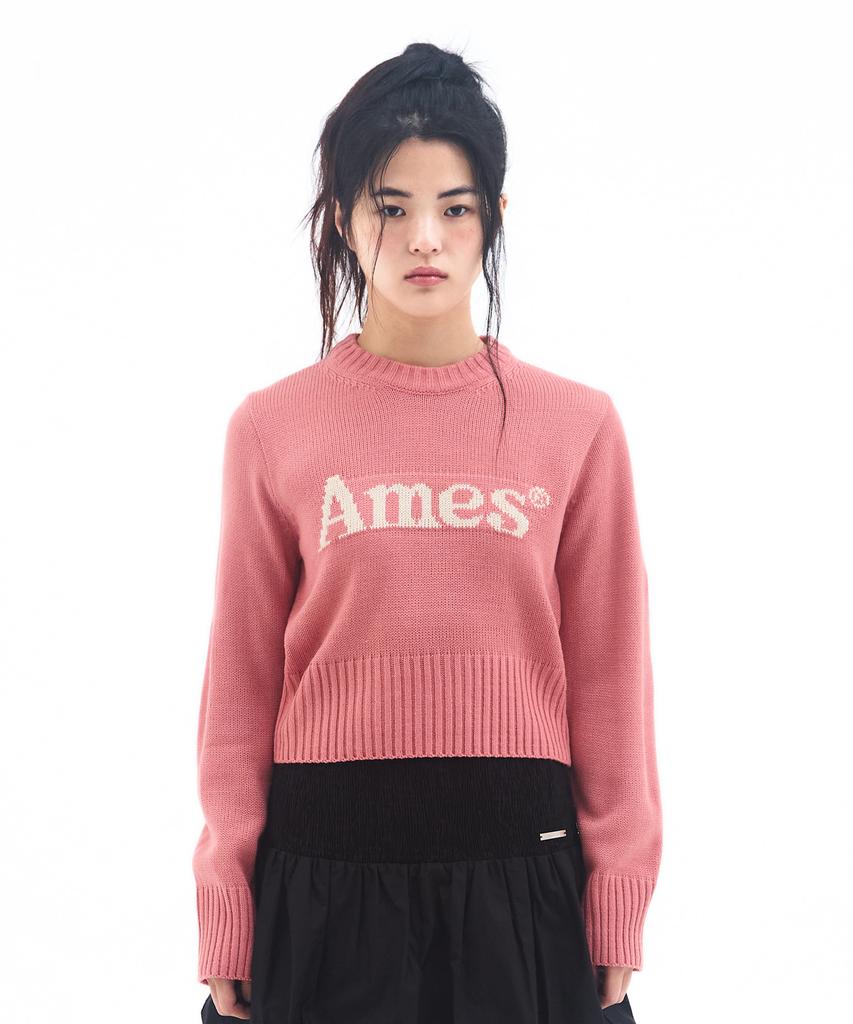 AMES-WORLDWIDE Базовый вязаный пуловер Розовый