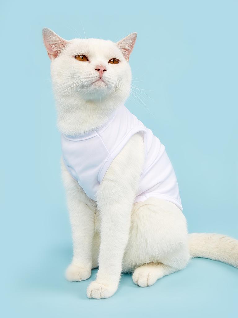 Dog Dress Doggie Vest, Puppy Clothes for Small Medium Doggy Girl Boys, Cat Apparel Spring Summer Wear