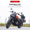 Комплект дуг безопасности и заднего багажника QJ Flash 250: Защитная дуга, Спинка, Аксессуары для боковых сумок