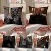 Чехол на подушку Daenerys Targaryen Наволочка Короткий плюш Скрытая молния Комната Диван Чехол для подушки