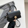 Premium Texture Small Bag Women's Spring 2025 New Fashion Casual Shoulder Messenger Bag Portable Small Square Bag Color