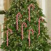 5Pieces Festival Plastic Candy Canes Ornament for Christmas Tree Assorted Color Christmas Party Supplies Decoration