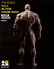 Toy Hobby Action Figure ADAM AD01 Cartoon Style Muscle Male Body [TOYBARJAPAN] 1/12 Man's