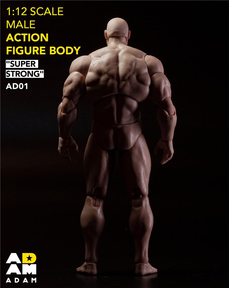 Toy Hobby Action Figure ADAM AD01 Cartoon Style Muscle Male Body [TOYBARJAPAN] 1/12 Man's