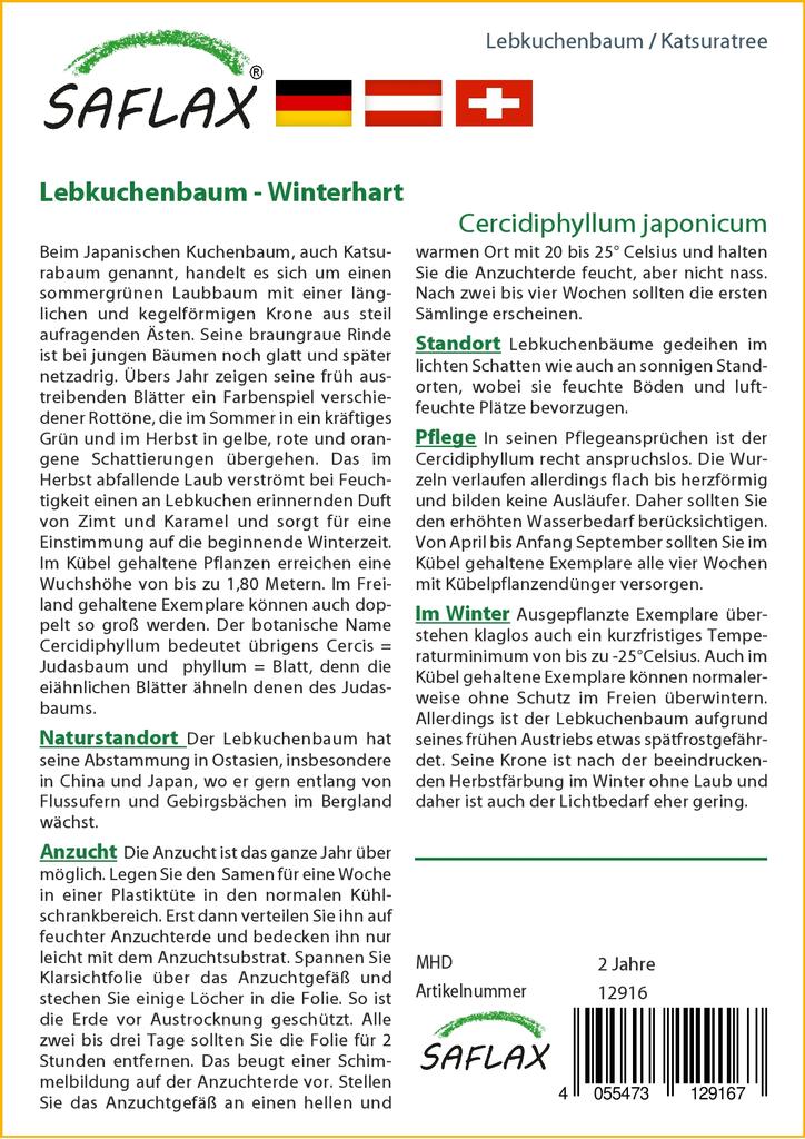 SAFLAX Кацуратри - 200 семян - Cercidiphyllum japonicum