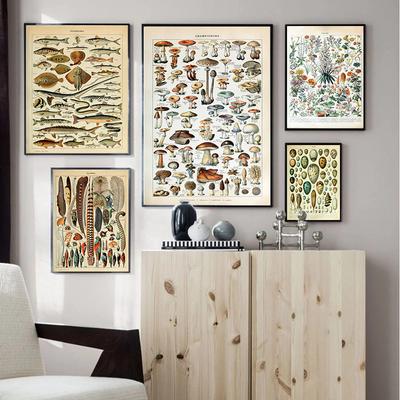 Овощи, фрукты, грибы, животные, Ретро постер, ботаническая картина, научные принты на холсте, декор для домашнего бара, кафе, художественная настенная живопись