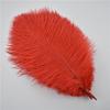 10Pcs/Lot 25-30Cm Ostrich Feathers For Crafts Party Decoration Jewelry Creation Natural Feather For Needlework And Handicrafts