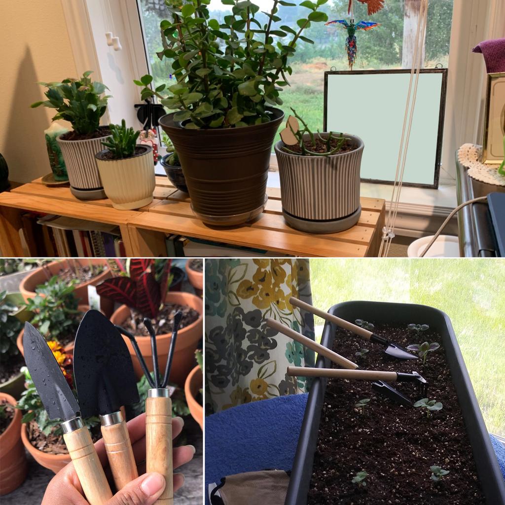 Удобный набор из 3 садовых инструментов, включая мини-лопату, совок и грабли для ухода за растениями в помещении и на открытом воздухе, а также для балконных садов