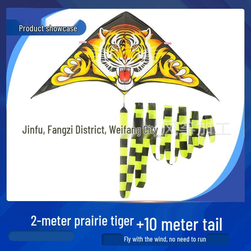 Great Plains Extra Large Rainbow Kite for Kids - Excellent Flying Cartoon Design