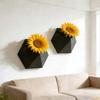Wall-Mounted Hexagonal Flower Pot 3D Printed Growing Pots Minimalist Plant Containers  Office