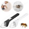 Portable Transparent Insect Catcher Contactless Bug Observer for Indoor and Outdoor Childrens Toys for Outdoor Exploration