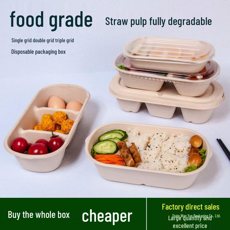 Eco-friendly Three-Compartment Disposable Bento Box – Microwaveable Paper Lunch Container for Salads and Light Meals