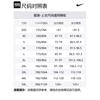 Nike Acg Iguana T-shirt HJ0890-010