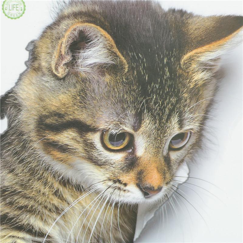 Милый кот стикер на стену для гостиной, спальни, шкафа, туалета, украшение