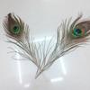 10pcs /Set Beautiful Natural Peacock Feathers Eyes For Diy Clothes Decoration Wedding Party 26 -30cm Peacock Tail Feathers