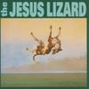 LP Пластинка JESUS LIZARD  Down TG431 TOUCH AND GO 2009 US Рок
