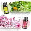 PHATOIL 6 шт. масло с цветочным ароматом Подарочный набор на женский день Freesia Angel Свежее льняное эфирное масло для увлажнителя Массажный уход за кожей Духи «сделай сам»