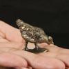 New Ancient Solid Chicken Eats Rice Tea Pet Miniature Figurines Antique Pocket Rooster Desktop Ornament Home Decoration Craft